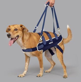 Balto Body Lift Harness with Handles Large By KVP 