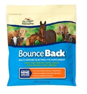Bounce Back Multi-Species Electrolyte Supplement, 4oz By Manna Pro Corpora