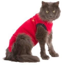 Medical Pet Shirt - Small (Cat) By Medical Pet Shirts
