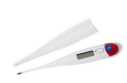 30 Second Rectal Digital Thermometer LCD display By Medline Industries