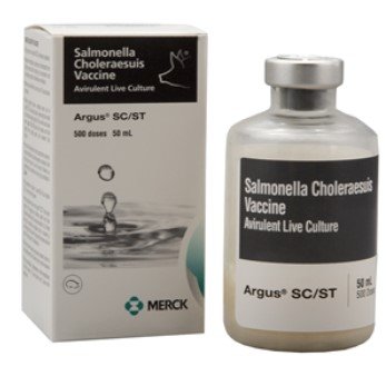 Argus SC/ST Salmonella Choleraesuis Vaccine, Avirulent Li By Merck Animal Health