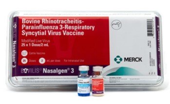 Bovilis Nasalgen 3 Cattle Vaccine, Modified Live Virus, 25 x 2mL (Single Dose)