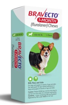 Bravecto 1-Month Chews for Dogs and Puppies 22 to 44 Pounds, Green Label (1 Dose