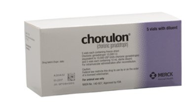 Chorulon (Human Chorionic Gonadotropin) 10000 IU, 10mL By Merck Animal Health
