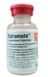 Estrumate (Cloprostenol Sodium) Injection, Prostaglandin  By Merck Animal Health