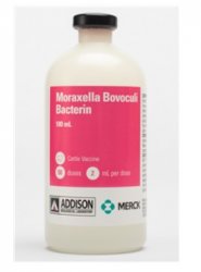 Moraxella Bovoculi Bacterin Cattle Vaccine, 100mL (50 Dose) By Merck 