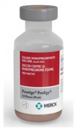Prestige Prodigy Equine Rhinopneumonitis Vaccine, Killed Virus, 20mL By Merck An