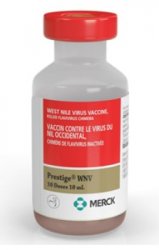 Prestige WNV Equine Vaccine, Killed Flavivirus Chimera, 10mL By Merck An