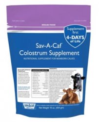 Sav-A-Caf Colostrum Supplement, 16oz By Milk Products