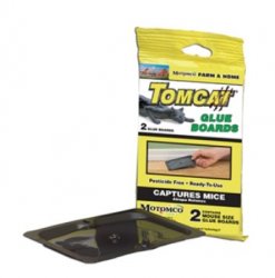 Tomcat Mouse Glue Board By Motomco