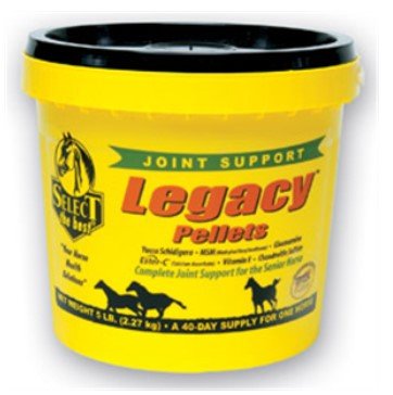 Select the Best Legacy Pellets