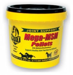 Select the Best Mega-MSM Pellets, Supports Healthy Joint Function for All Horses