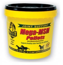 Select the Best Mega-MSM Pellets, Supports Healthy Joint Function for All Horse