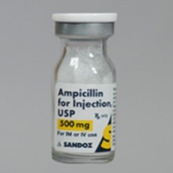 Ampicillin for Injection 500mg, 10mL By Sand oz 