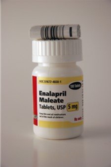 Enalapril Maleate Tablets 5mg, 100 Count By Taro Pharmaceuticals