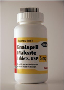 Enalapril Maleate Tablets 5mg, 1000 Count By Taro Pharmaceuticals