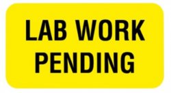 Sticker Lab Work Pending 1 5/8x7/8in Fluor Ylw 560 By United Ad Label