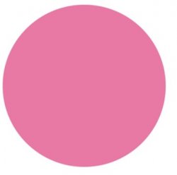 Vinyl Circle Label 3/4x3/4in Pink 1000/Roll By United Ad Label