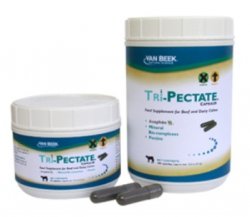 Tri-Pectate Capsules Feed Supplement for Beef and Dairy Cattle, 100 Count