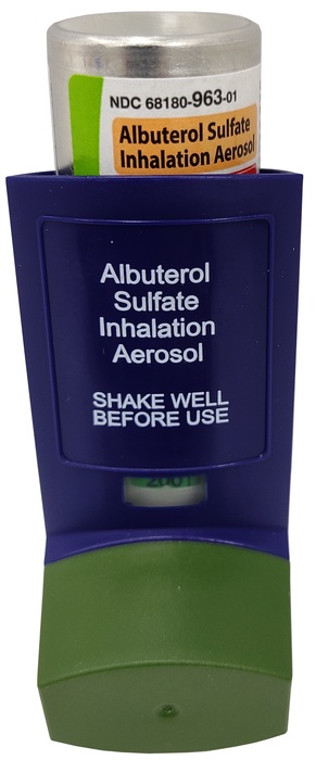 Rx Item-Albuterol Sulfate Inhaler 90 Mcg Aerosol 8.5 By Lupin Gen Proair 