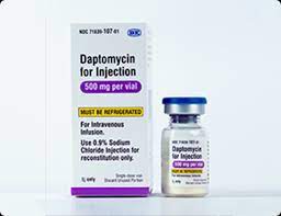 Rx Item-Daptomycin 350 Mg Vl By Be Pharmaceuticals USA 