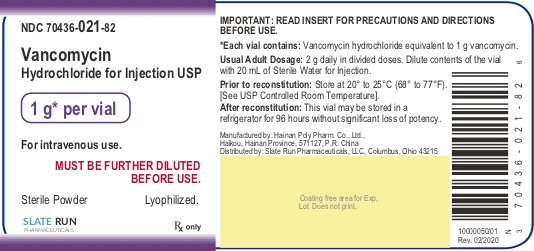 Rx Item-Vancomycin 1 GM Vl 10 By Slate Run Pharmaceuticals USA Gen Vancocin