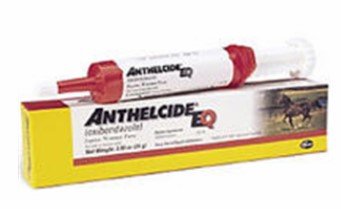 Anthelcide (Oxibendazole) EQ Wormer Paste, 24gm By Zoetis