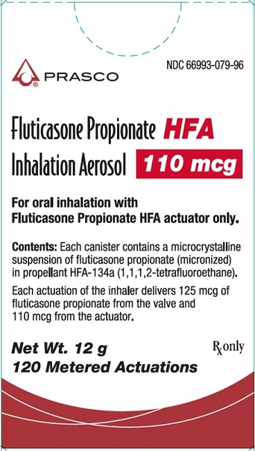 Rx Item-Fluticasone Prop Gen Flovent HFA 110Mcg Inh 12Gm By Prasco Gen Flovent