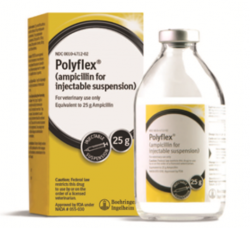 Polyflex Ampicillin for Injectable Suspension,200mL By Boehringer Ingelheim