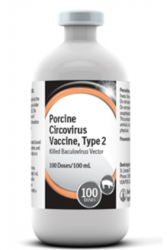 Porcine Circovirus Swine Vacc,Type2,Killed Baculovirus Vector100ml By Boehringer