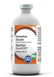 ReproCyc ParvoFLEX Parvovirus Swine Vacc,Killed Bac Vec 100ml By Boehringer Inge