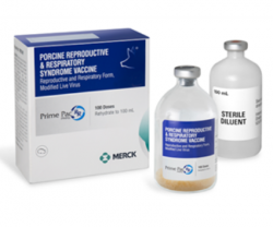 Prime Pac PRRS RR Swine Vaccine, Modified Live Virus, 100mL By Merck
