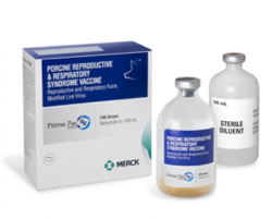 Prime Pac PRRS RR Swine Vaccine, Modified Live Virus, 20mL By Merck