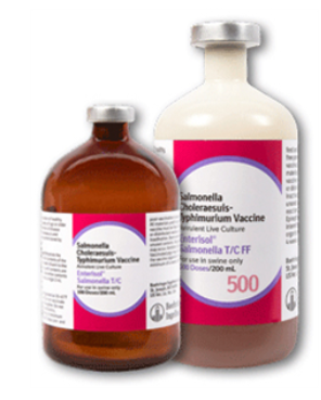 Enterisol Salmonella T/C FF(Frozen)Vac,Avirulent 100ml By Boehringer Ingelheim