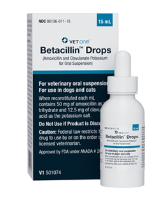 Betacillin Drops (Amoxicillin and Clavulanate Potassium for Oral Suspension) 62.