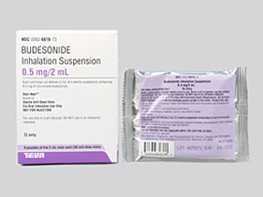 Rx Item-Budesonide 0.5MG/2ML 6X5X2 ML Ampoule by Teva Gen Pulmicort