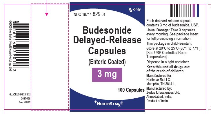 Rx Item-Budesonide 3mg Cap 100 by Northstar Pharma Gen Pulmicort