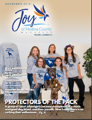 Joy of Medina December 2018