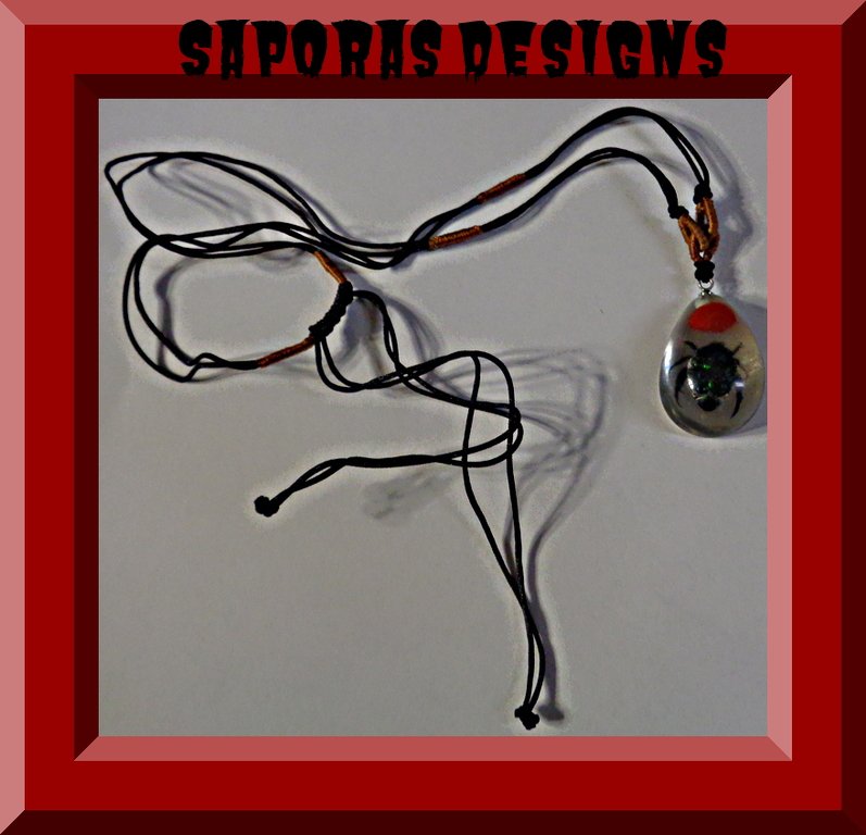 Image 0 of Amber Style Real Bug Insect Necklace With Black & Brown Rope Chain