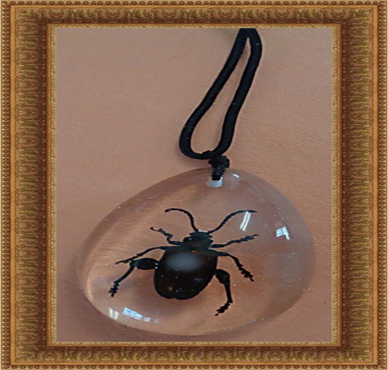 Image 0 of Amber Style Real Bug/Beetle/Insect Design Necklace Unisex With Black Rope Chain