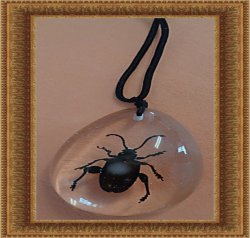 Amber Style Real Bug/Beetle/Insect Design Necklace Unisex With Black Rope Chain