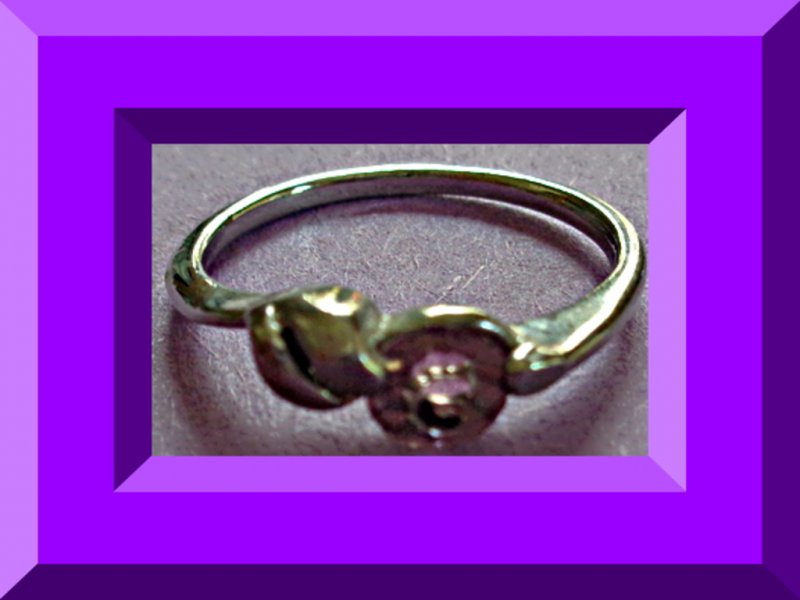 Image 0 of Silver Tone Purple Birthstone Ring Size 7.5