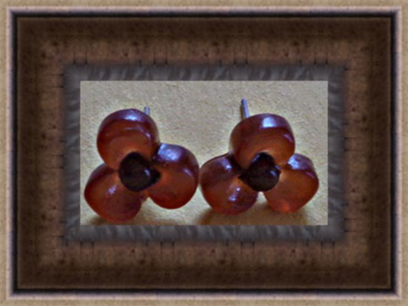 Image 0 of Brown Flower Design Stud Earrings