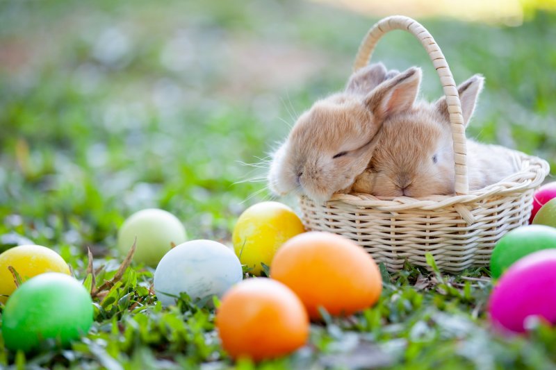Easter Brunch Tickets                                        