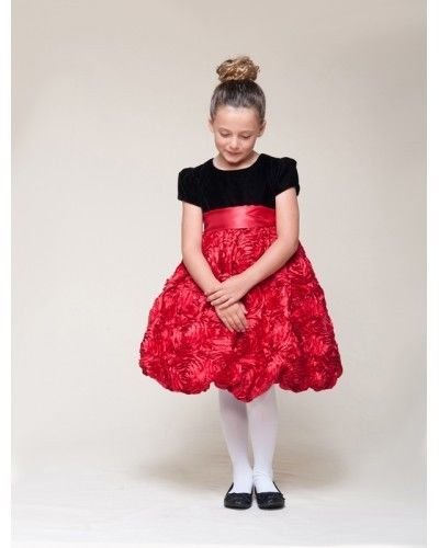 Image 3 of Dressy Velvet Top Swirl Floral Red Skirt Pageant Flower Girl Dress Crayon Kids -