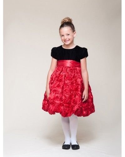 Image 4 of Dressy Velvet Top Swirl Floral Red Skirt Pageant Flower Girl Dress Crayon Kids -