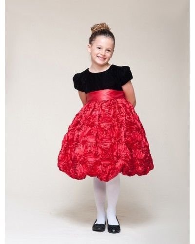 Dressy Velvet Top Swirl Floral Red Skirt Pageant Flower Girl Dress Crayon Kids -