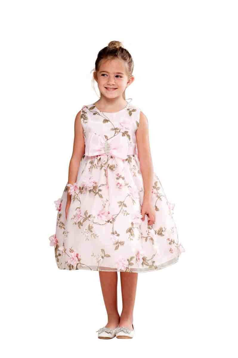 Image 0 of Posh Sweet Pink Floral Embroidered Flower Girl Party Dress, Crayon Kids USA - 4T
