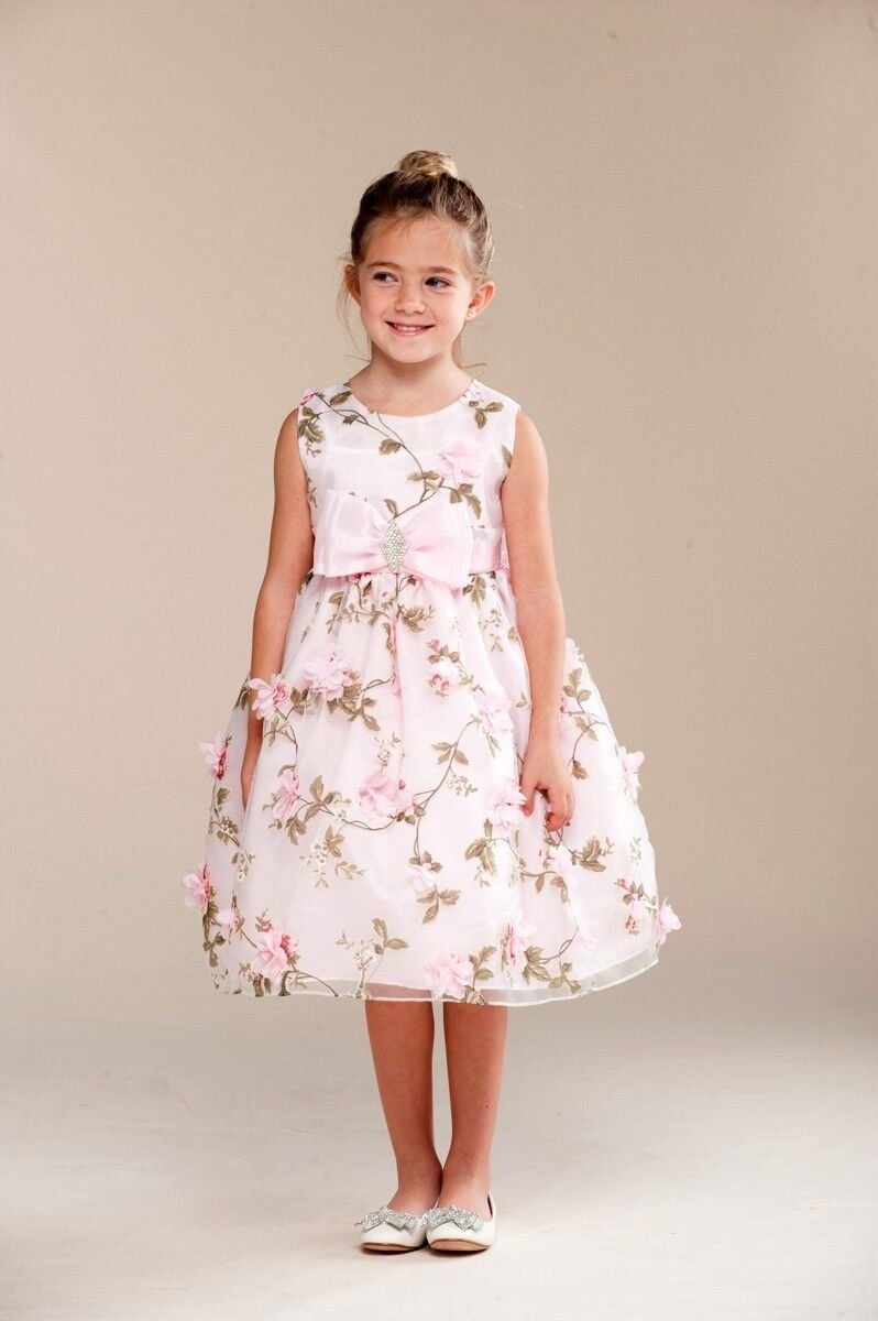 Image 1 of Posh Sweet Pink Floral Embroidered Flower Girl Party Dress, Crayon Kids USA - 4T