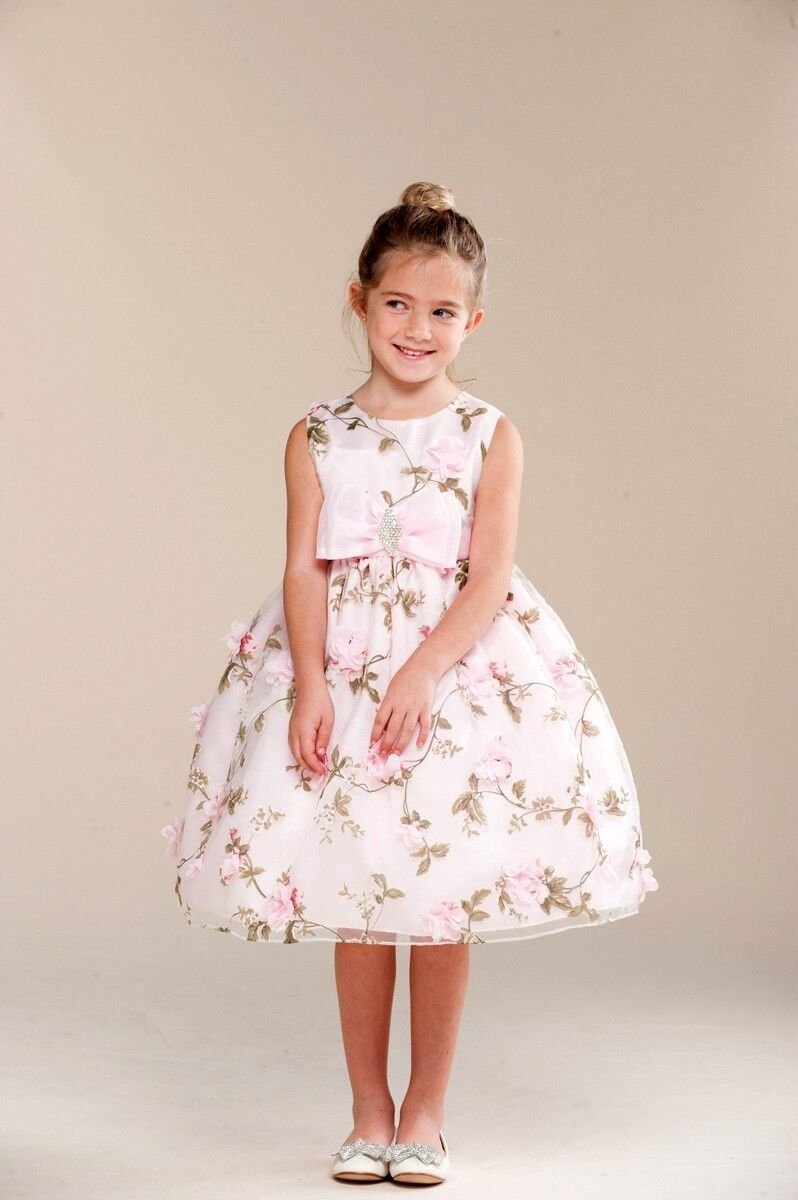 Image 2 of Posh Sweet Pink Floral Embroidered Flower Girl Party Dress, Crayon Kids USA - 4T